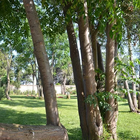 Giardino Del Mare