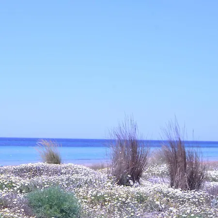 Giardino Del Mare *